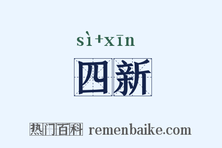 四新是什么意思的图片